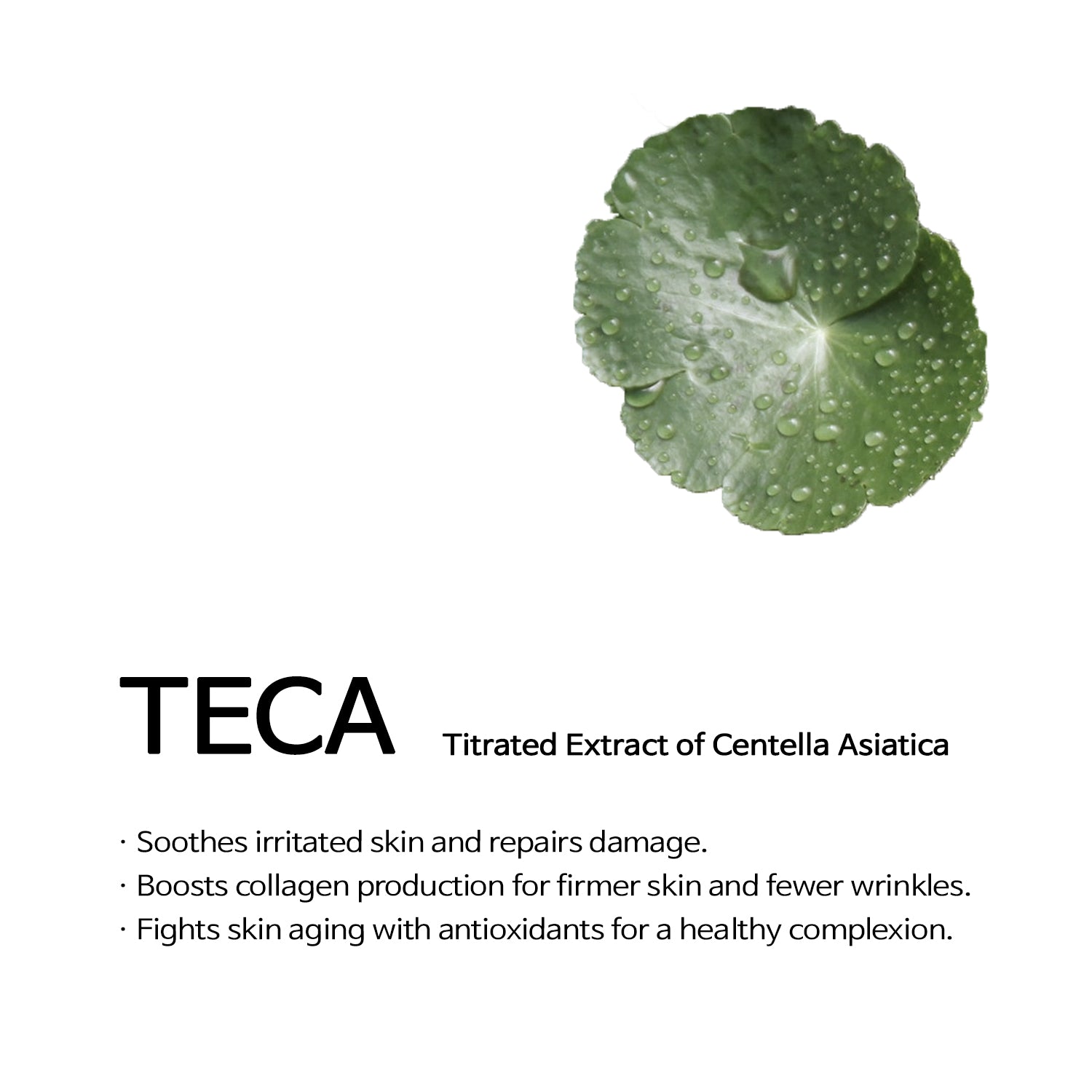 Hyaluronic Acid Centella Asiatica with Ceramide Toner 200ml